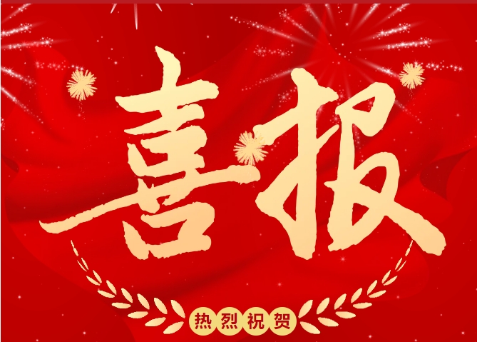 喜報！華凱供應鏈榮獲2024行業發展突出貢獻獎